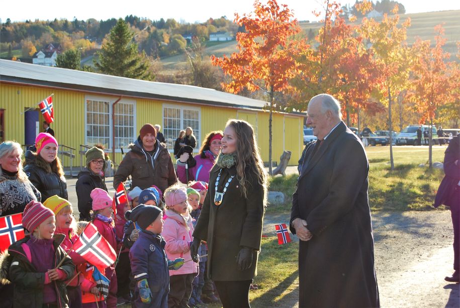 Kongen hilser Kongen hilser
