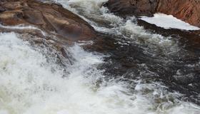 Lakseforvaltning Lakseforvaltning