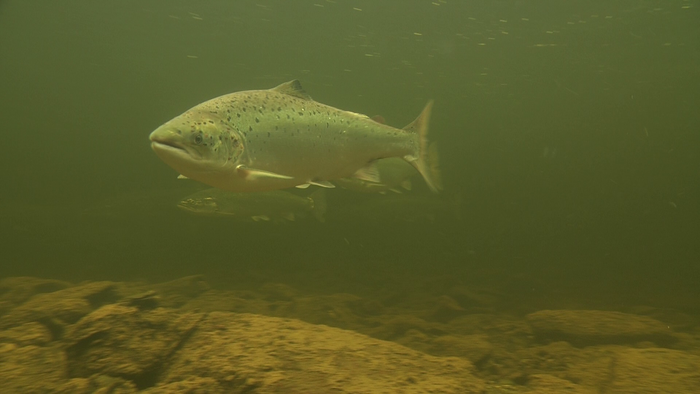 Foto: Anders Lamberg Foto: Anders Lamberg