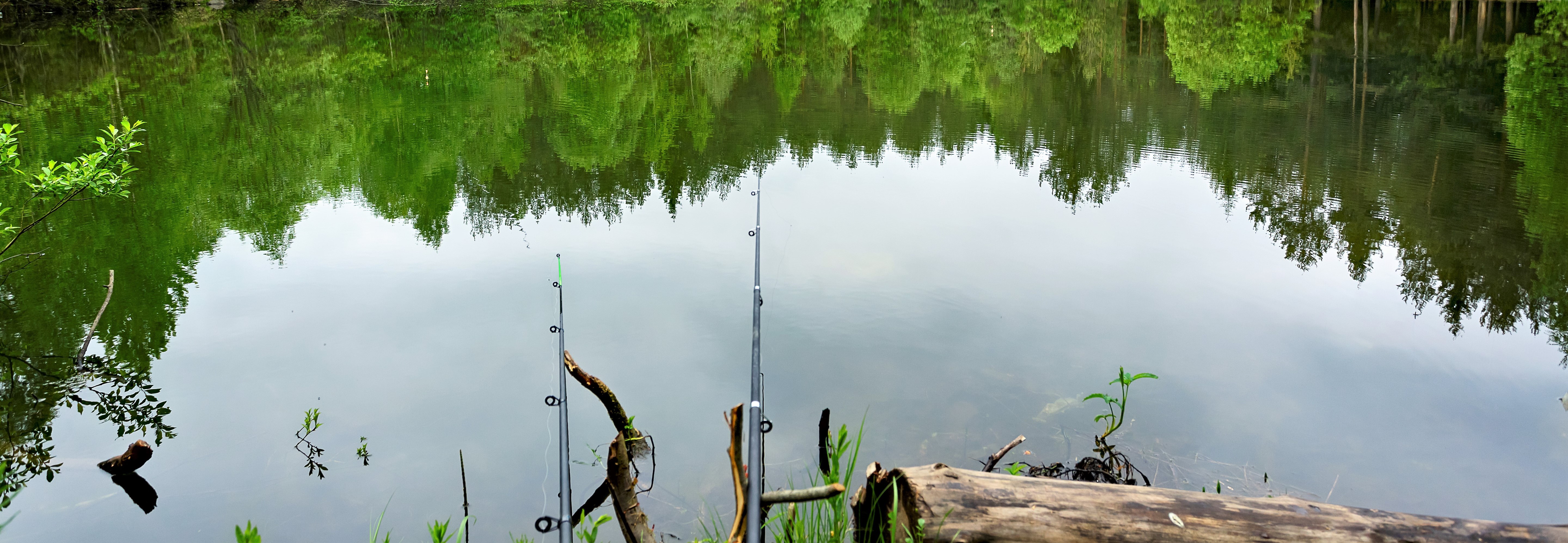 Illustrasjonsbilde av fiskevann og fiskestenger