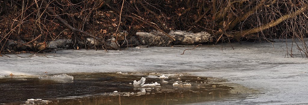 Illustrasjonsbilde - Homla naturreservat