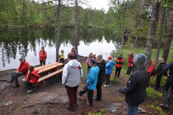 Ordførerens tur 2016
