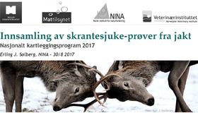 Skrantesjuke - presentasjon fra NINA Skrantesjuke - presentasjon fra NINA