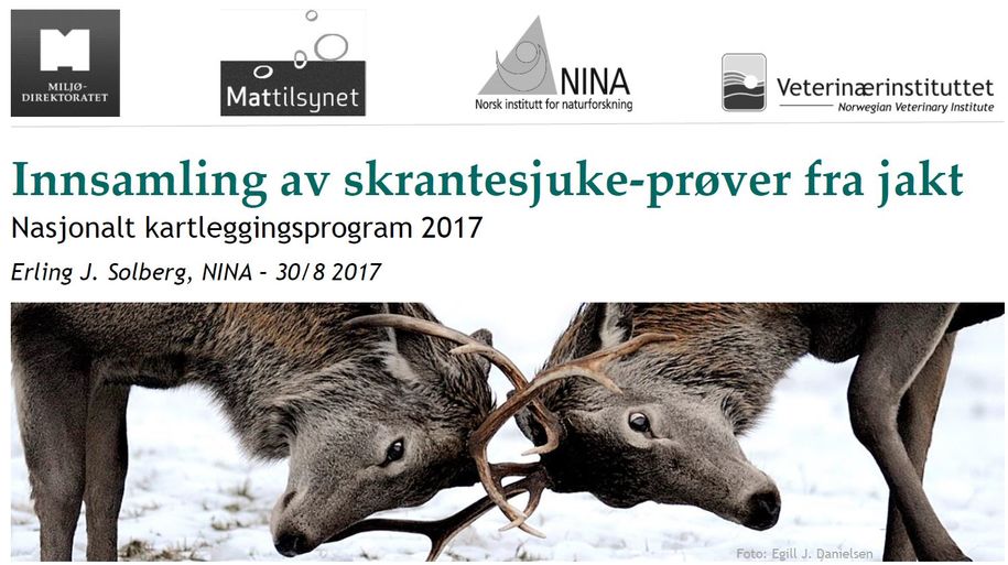 Skrantesjuke - presentasjon fra NINA Skrantesjuke - presentasjon fra NINA