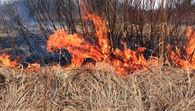 Bilde av bråtebrann