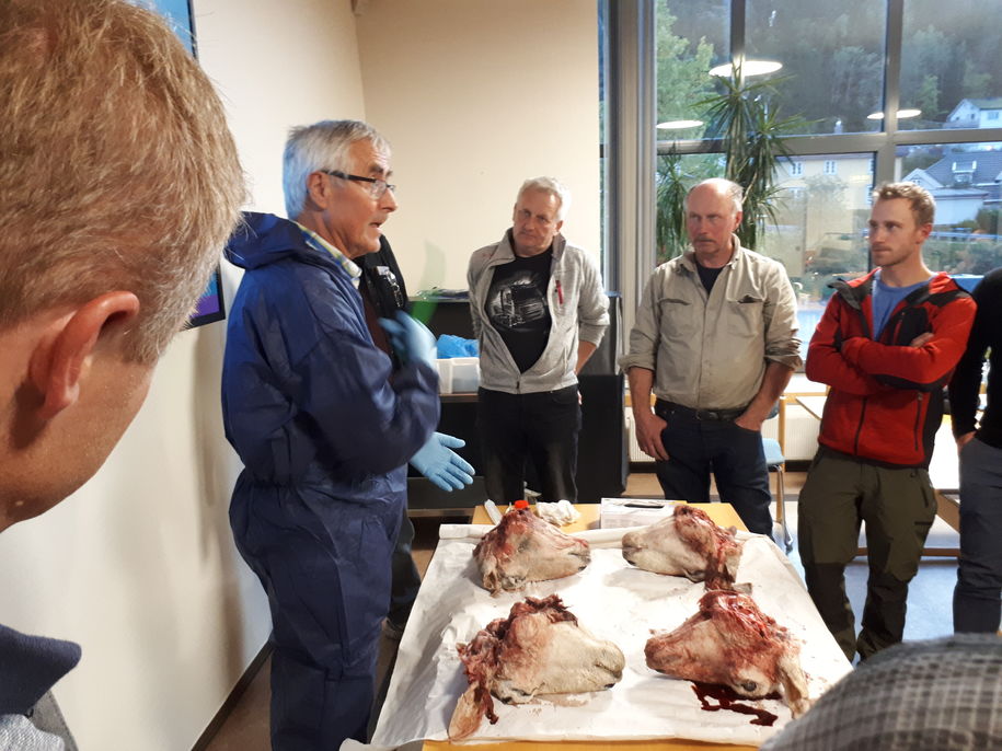 Jegermøte i Malvik 2018 Jegermøte i Malvik 2018