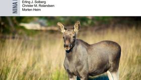 Artikkelbilde_2019 NINA-rappport - elg