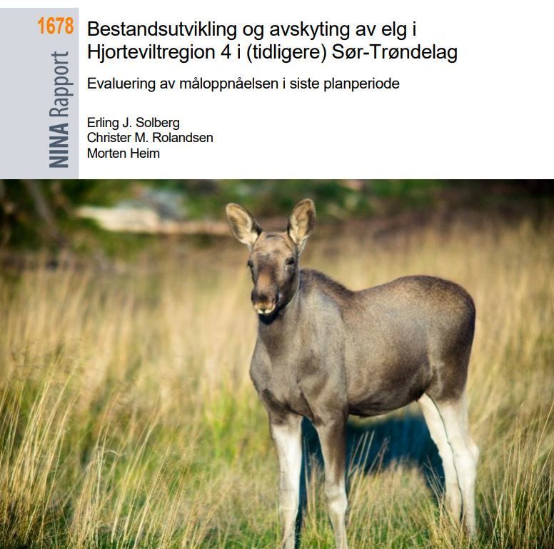 Artikkelbilde_2019 NINA-rappport - elg