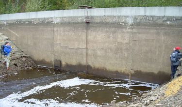 Damanlegget ved Stavsjøen skal forbedres.