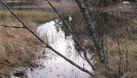 Bilde_PS_Fjølstadbekken_utløp Hestsjøen (1)