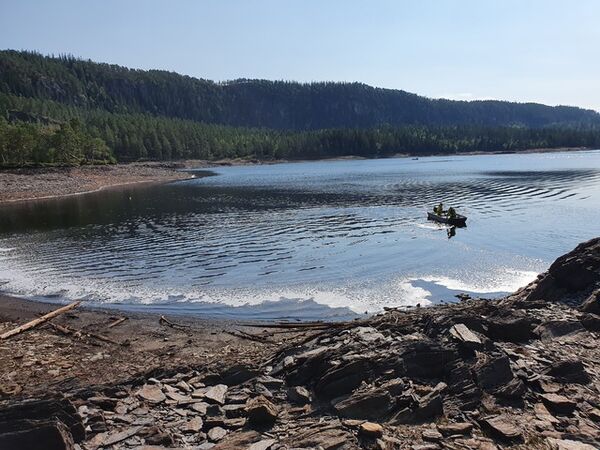 Fjerning av abbor fra Stavsjøen