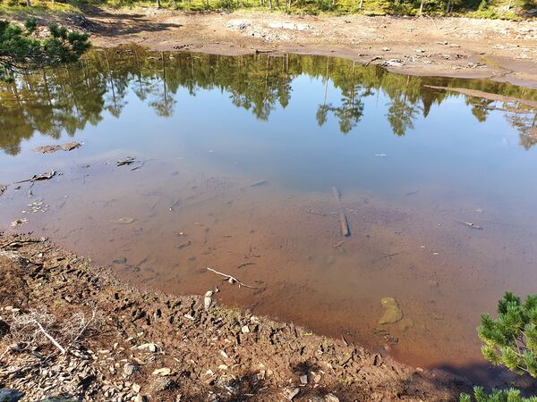 Karussdammen i Stavsjøen