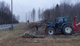 Vegetasjonsrydding langs fylkesvegen for å forebygge viltpåkjørsler