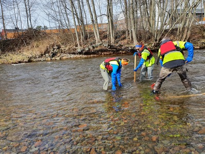 Utsetting av rogn i Homla