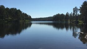 Nå flyttes fisken tilbake til Stavsjøen