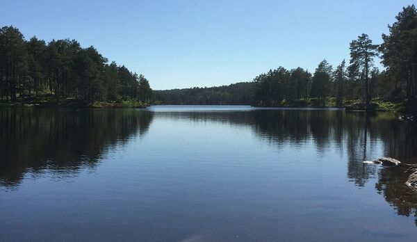 Nå flyttes fisken tilbake til Stavsjøen
