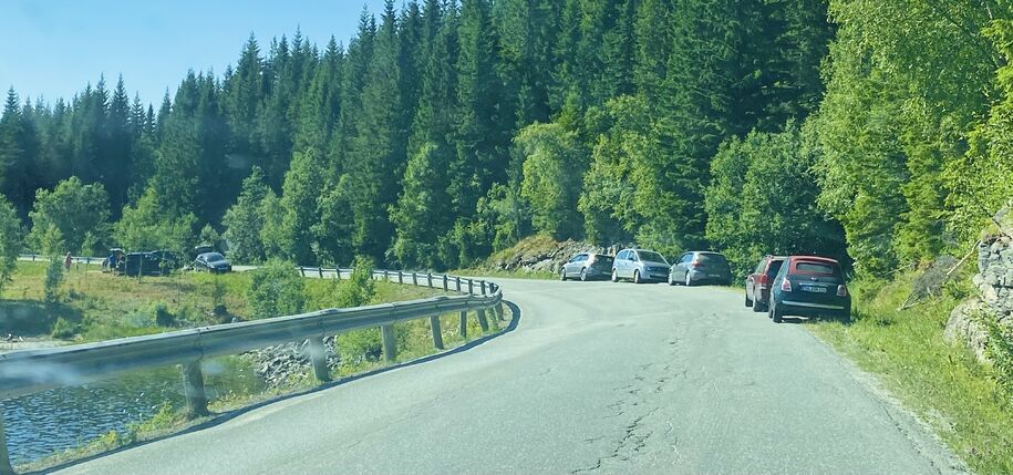 Trondheim parkering skal håndheve parkeringsbestemmelsene i Malvik - artikkelbilde