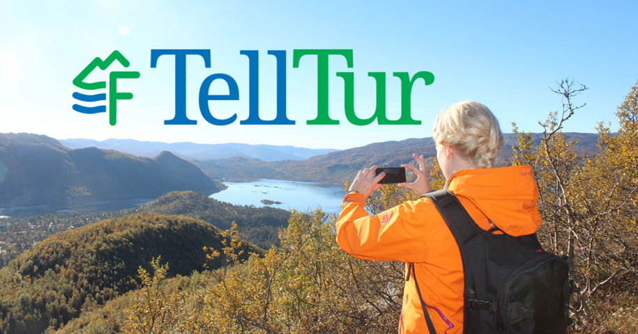 Telltur